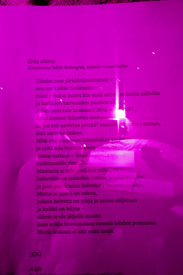 Kuva: Karoliina Kotiranta